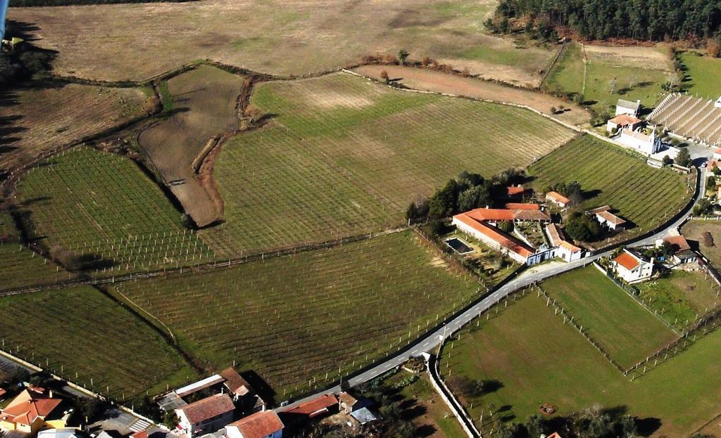 Quinta De Santa Baia Konuk evi Gaifar Dış mekan fotoğraf